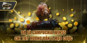 Đá Gà Campuchia Win55