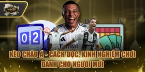 Mẹo Soi Kèo Châu Á