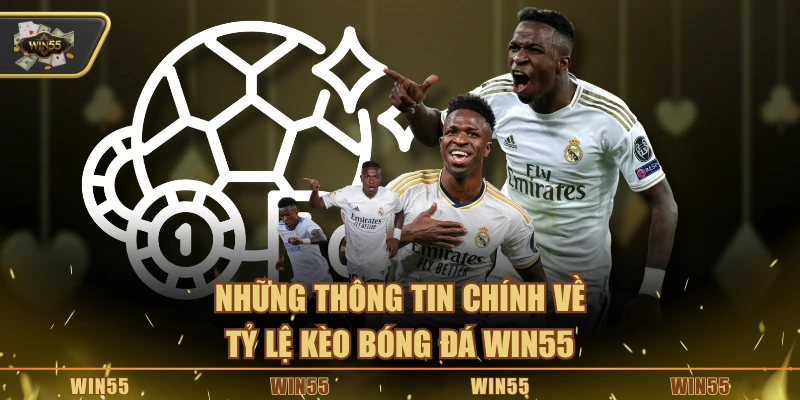 Những thông tin chính về tỷ lệ kèo bóng đá Win55