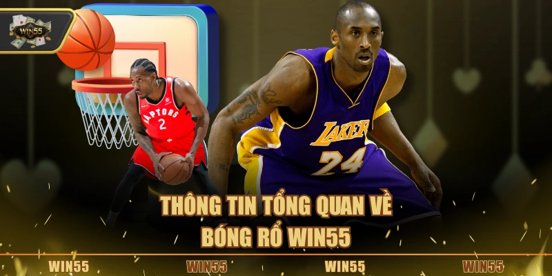 Thông tin tổng quan về bóng rổ Win55
