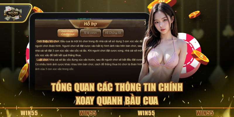 Tổng quan các thông tin chính xoay quanh bầu cua